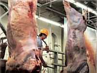 Meat Processing Industry